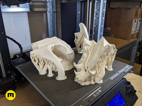 Realistic Skull Collection