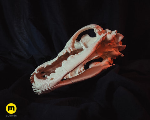 Realistic Skull Collection