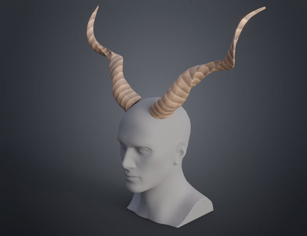Kudu horns