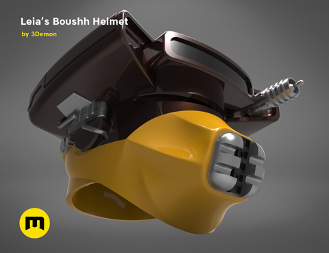 Leia's Boushh Helmet