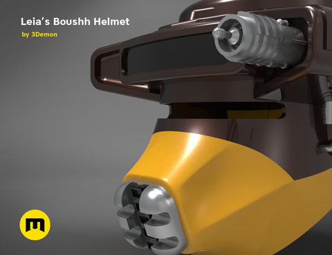 Leia's Boushh Helmet