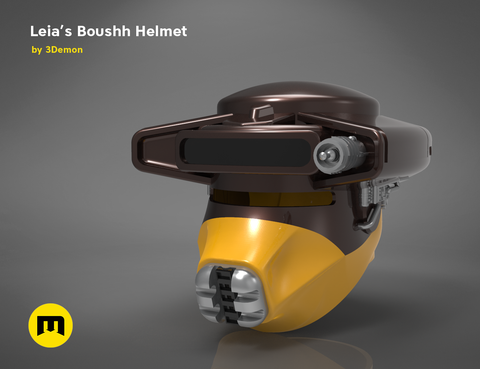 Leia's Boushh Helmet