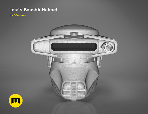 Leia's Boushh Helmet
