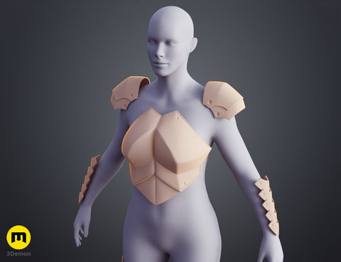Miss Goblin Slayer Armor