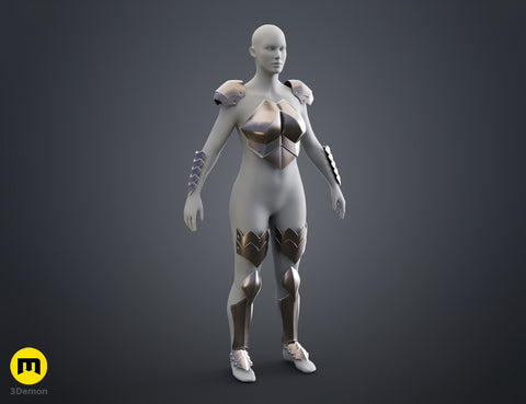 Miss Goblin Slayer Armor