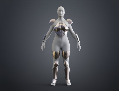 Miss Goblin Slayer Armor