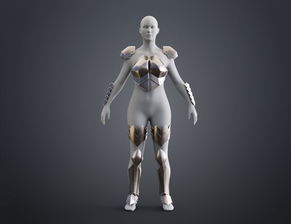 Miss Goblin Slayer Armor