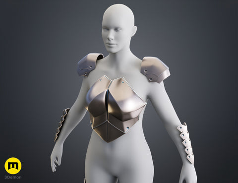 Miss Goblin Slayer Armor