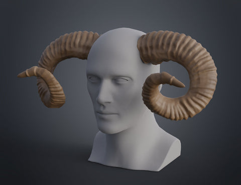 Mountain sheep Horns