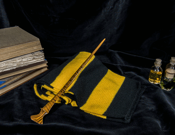Nymphadora Tonks' Wand