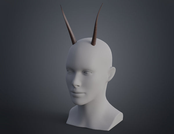 Oribi horns