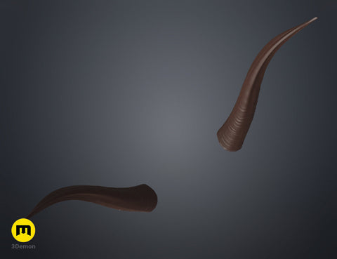 Oribi horns