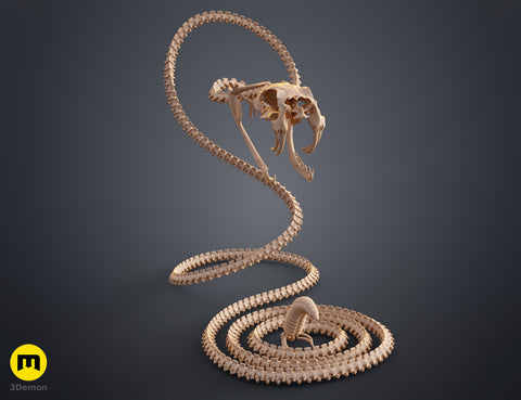 Rattlesnake Skeleton - Realistic Model