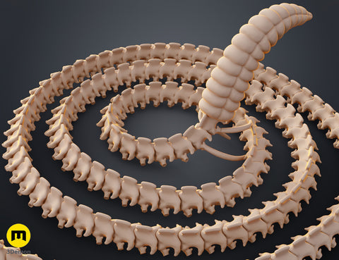 Rattlesnake Skeleton - Realistic Model