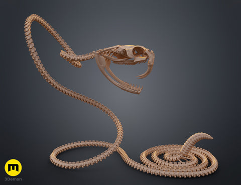 Rattlesnake Skeleton - Realistic Model