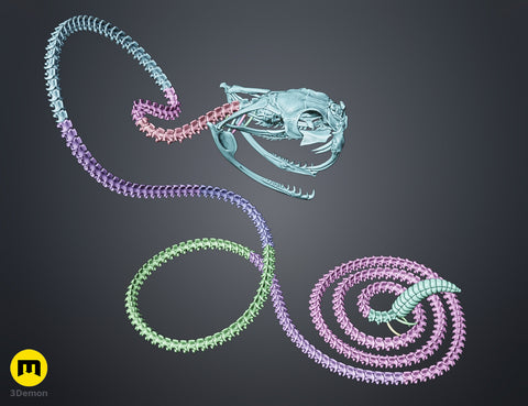 Rattlesnake Skeleton - Realistic Model