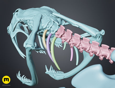 Rattlesnake Skeleton - Realistic Model