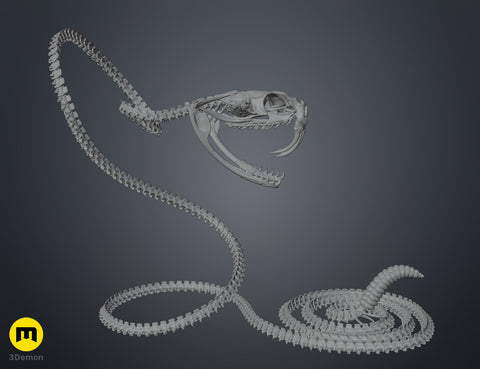 Rattlesnake Skeleton - Realistic Model