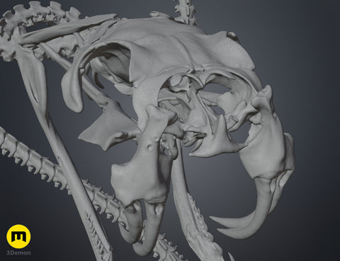 Rattlesnake Skeleton - Realistic Model