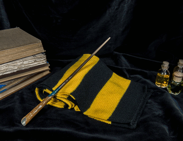 Newt Scamander’s Wand
