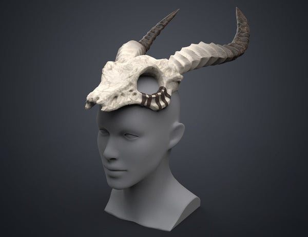 Shaman Skull with Horns