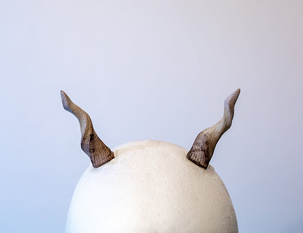 Small antelope horns