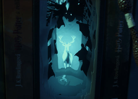 Harry Potter Book Nook