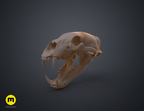 Realistic Skull Collection