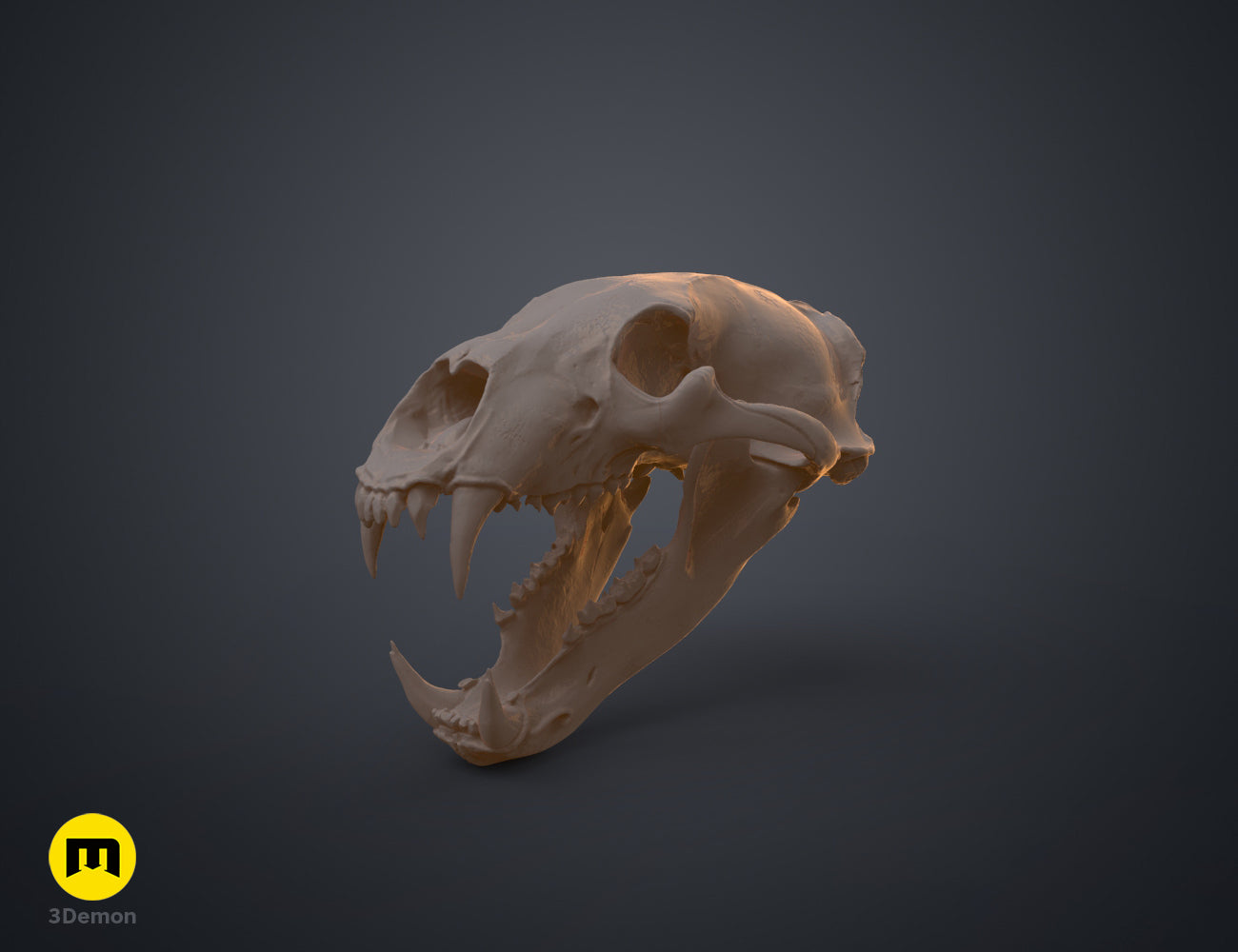 置物 polar bear skull il_fullxfull.7005165452_p32u.jpg