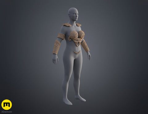 Xena: Warrior Princess armor