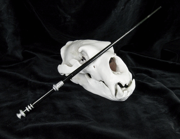 Corban Yaxley's Wand