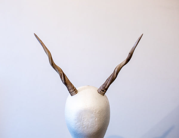 Antelope twisted horns