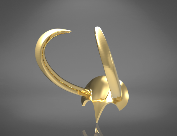 Loki cat helmet