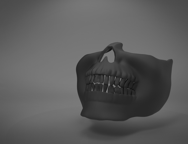 Skull Mask - The Purge