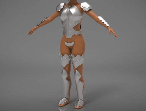Miss Goblin Slayer Armor