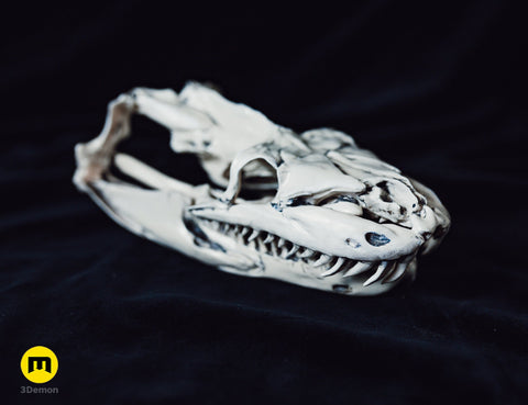 Realistic Snake Skull Collection