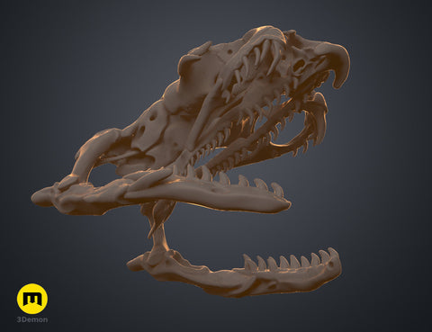Realistic Skull Collection