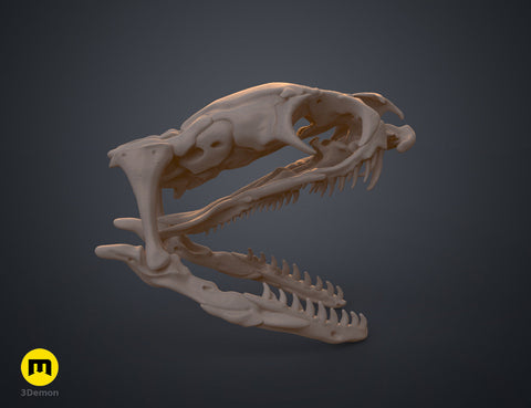 Realistic Snake Skull Collection
