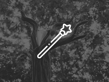 Staffs and spears