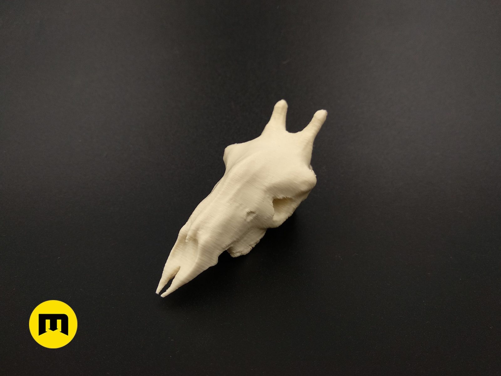 Giraffe Skull 3D print model