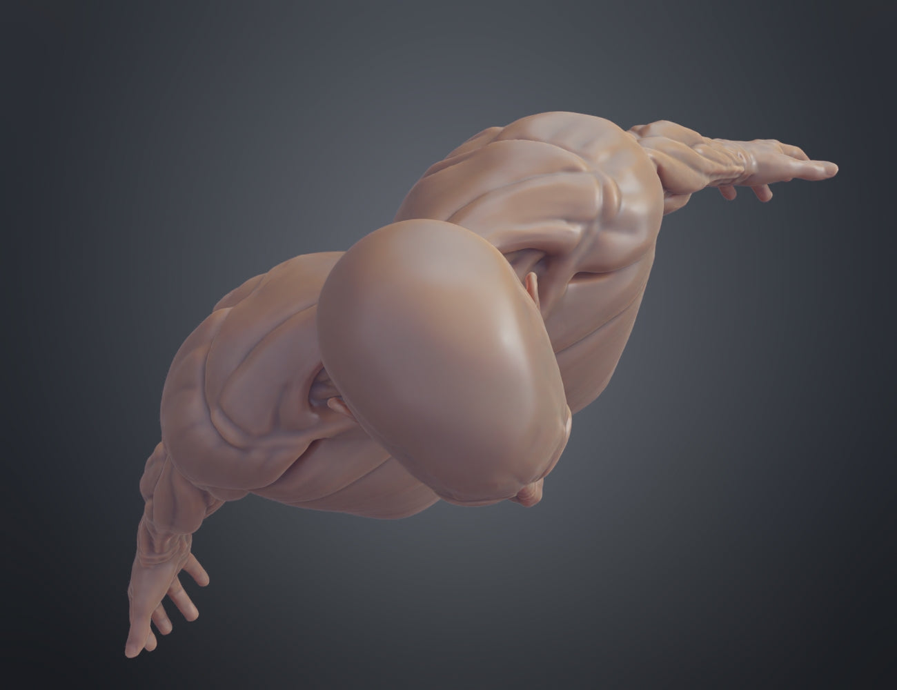 3D print preview of Ecorche for printing, muscular back anatomy render, 3D print cosplay prop