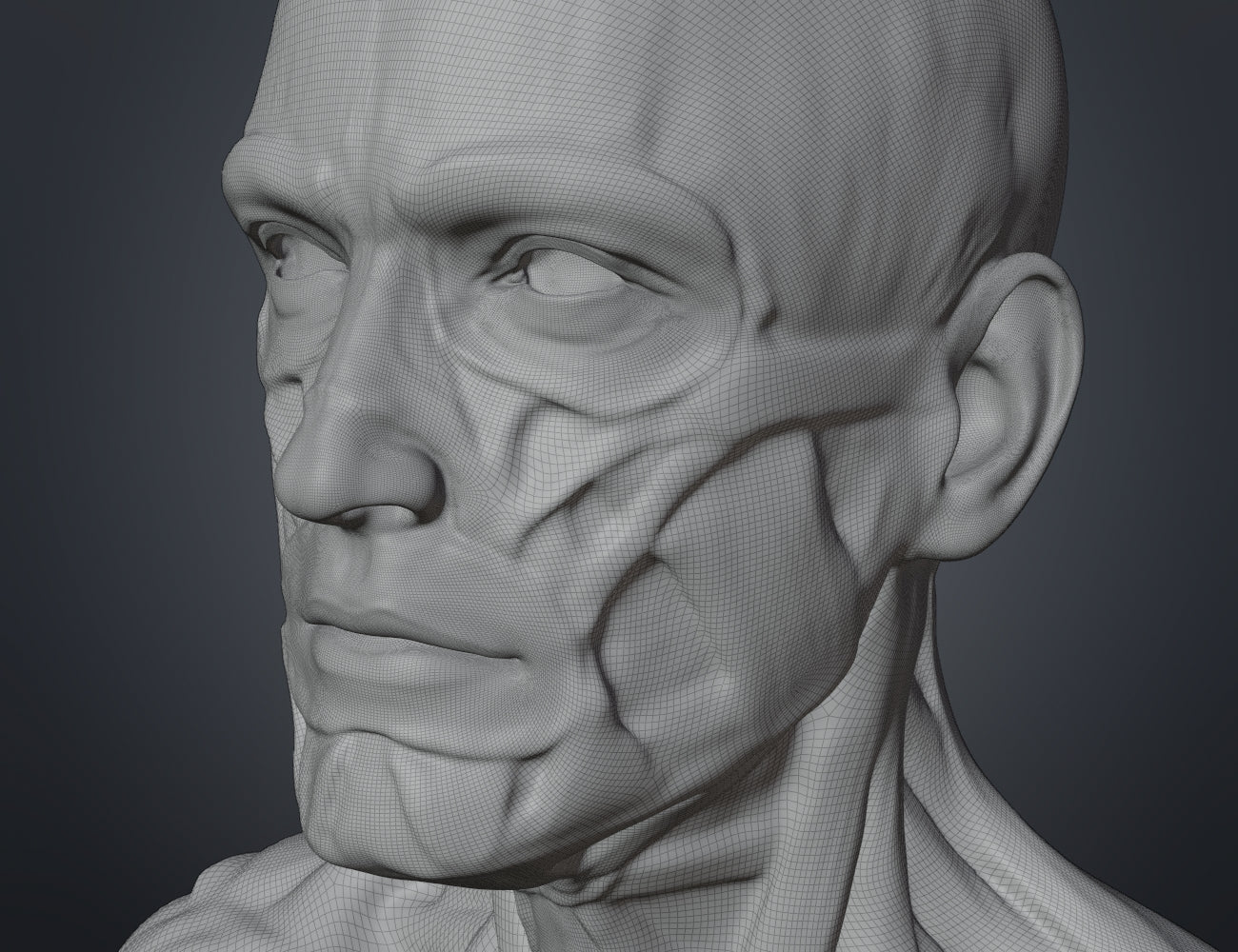 3D visualization of Ecorche for printing STL, side mesh topology with neck and jaw detail, 3D print anatomy model
