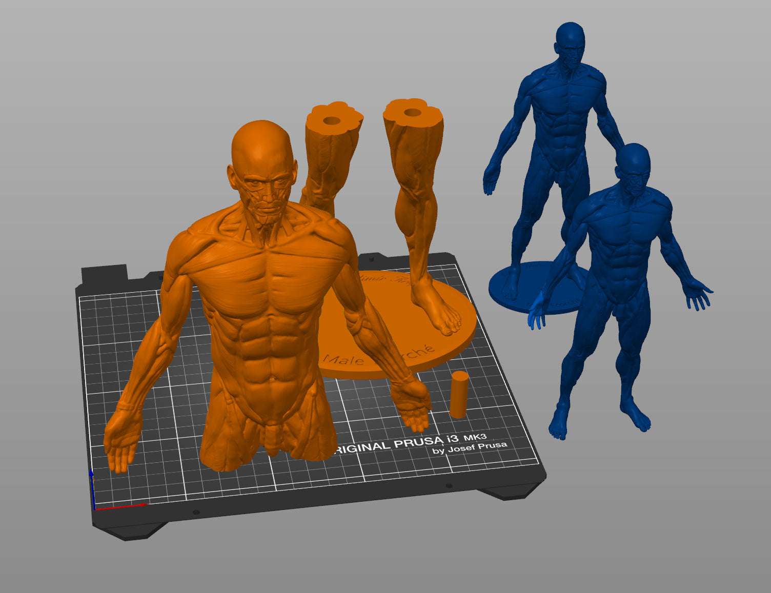 Slicer screenshot of Ecorche for printing STL, orange male figure on Original Prusa i3 MK3 bed