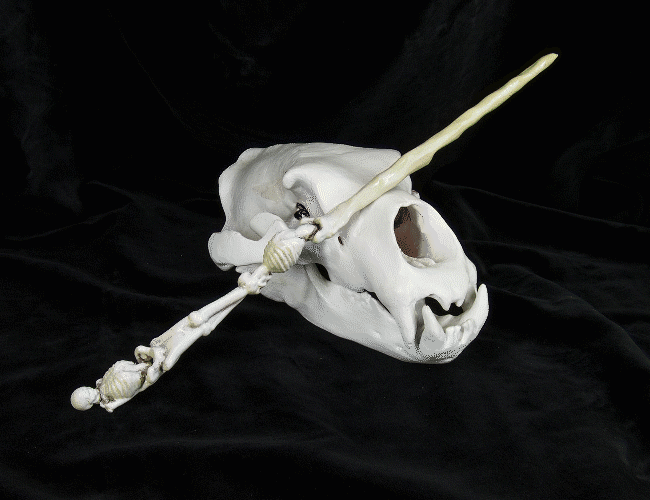 Death Eater Skeleton Wand — 3D printable STL model
