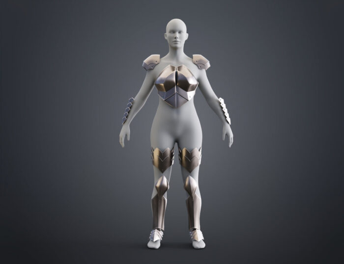 Miss Goblin Slayer Armor