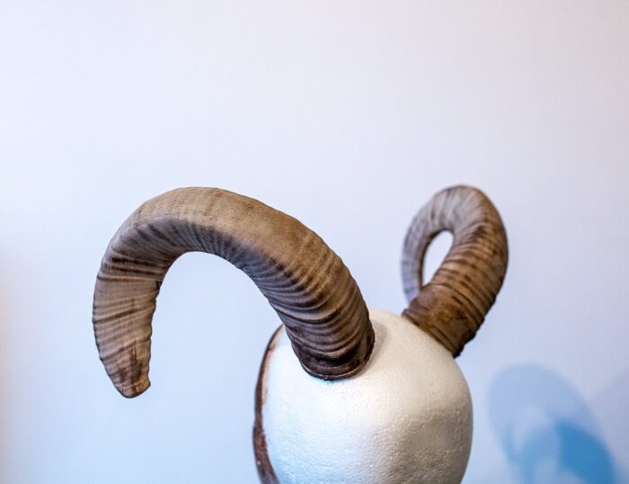 Mouflon horns — 3D printable STL model