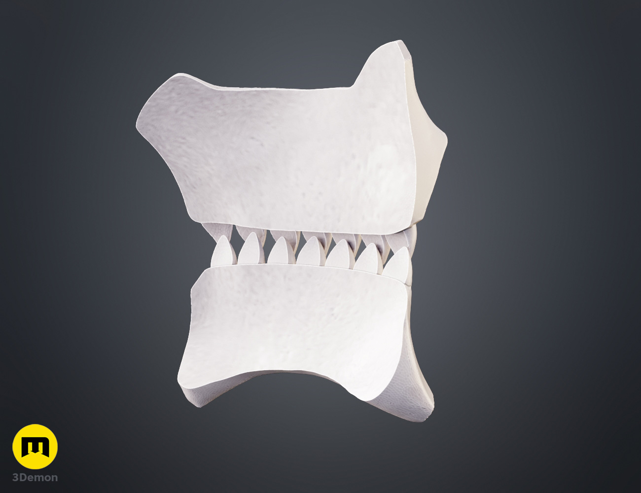 Coloured render of Grimmjow Jaegerjaquez Jaw Mask from Bleach 3Demon cospla STL 3dprint back