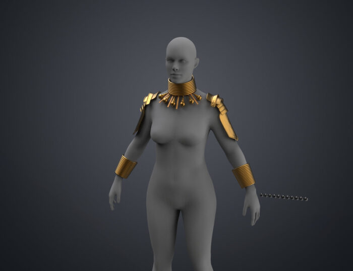 Dora Milaje - Armor and Accesories (Black Panther) — 3D printable STL model