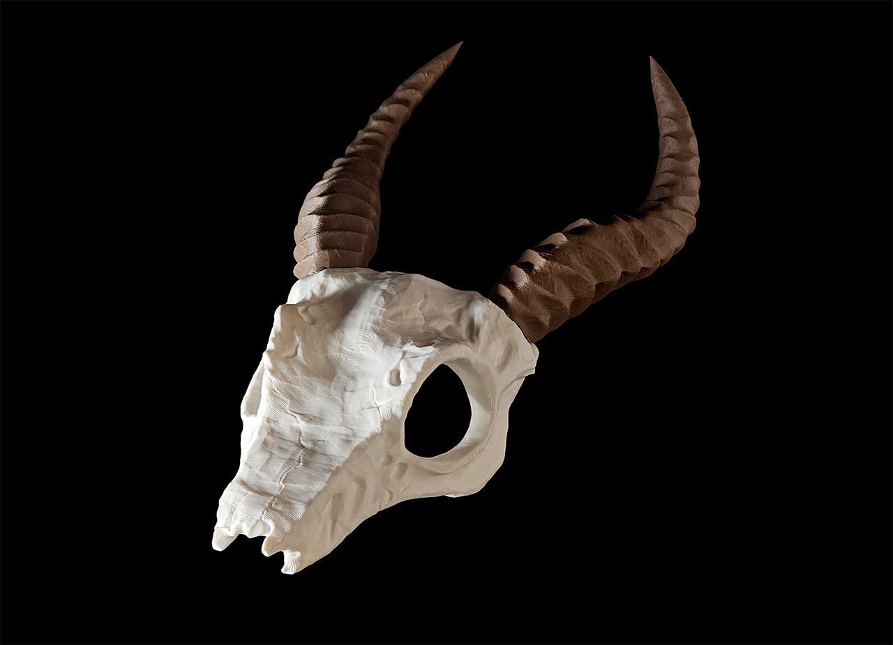 Printable 3D model of Shaman Skull with Horns, two curved horns, bone-textured cosplay prop.