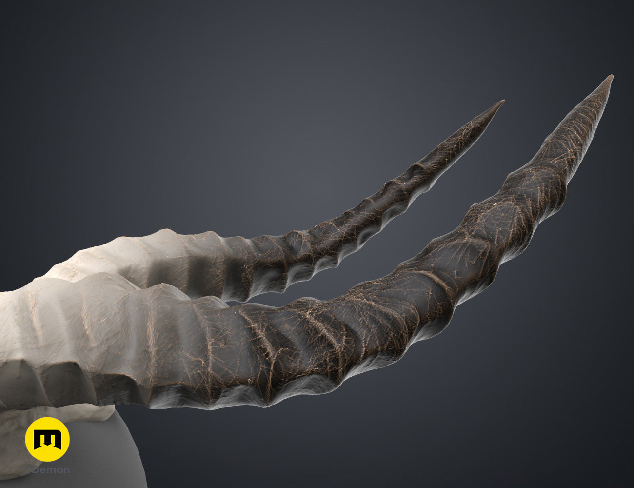 Textured 3D render of Shaman Skull with Horns STL, dual curved horns, dark brown finish, 3D print cosplay prop.
